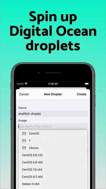 SSH Client - Secure ShellFish iPhone-skjermbilde 8