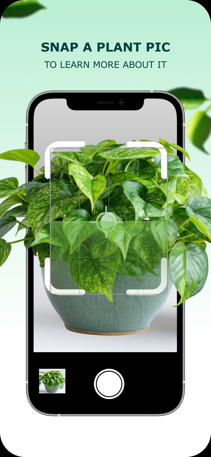 Plant Identification Plant App