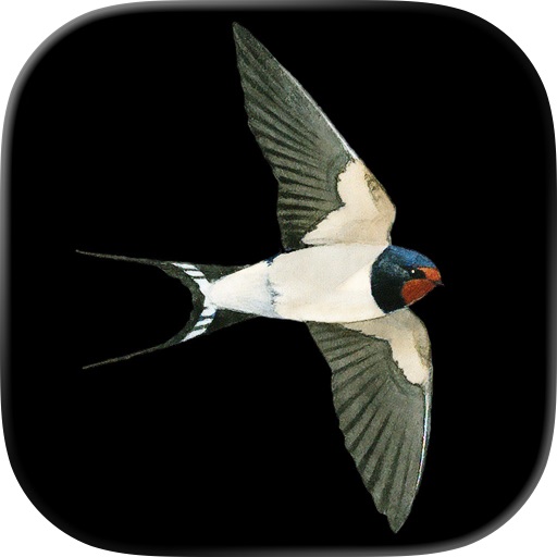Der Kosmos Vogelführer