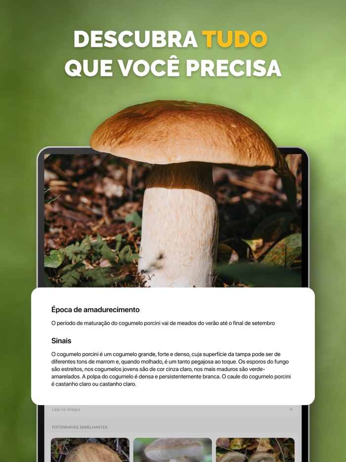 Identificador de cogumelos