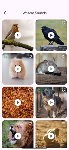 TalkyCat – Talk to Your Cat iPhone screenshot