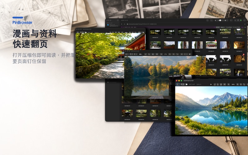 PinBrowser - 图片浏览器 screenshot