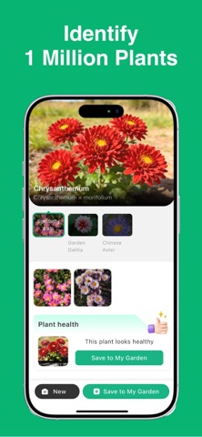 Plant Identifier: ChatPlant AI iPhone screenshot