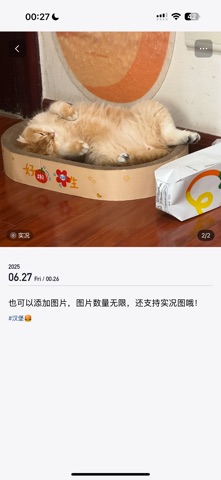 汉堡日记 screenshot