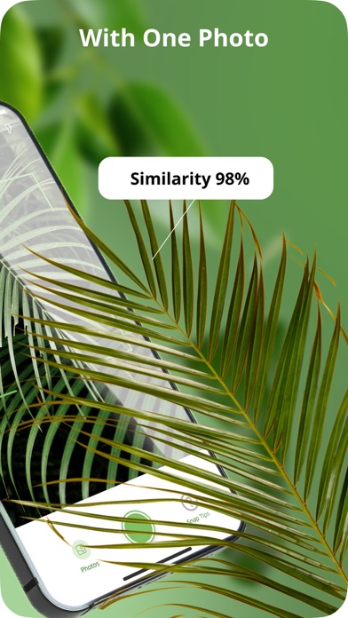 Plant Disease Identification Screenshot