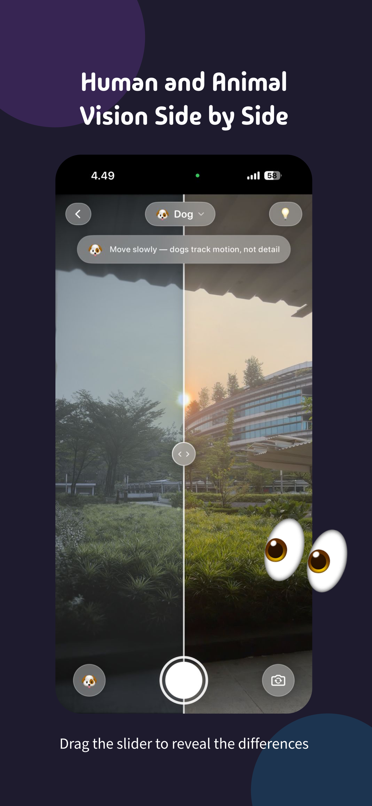 OtherEyes: Animal Vision