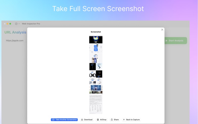 Web Inspector Pro screenshot