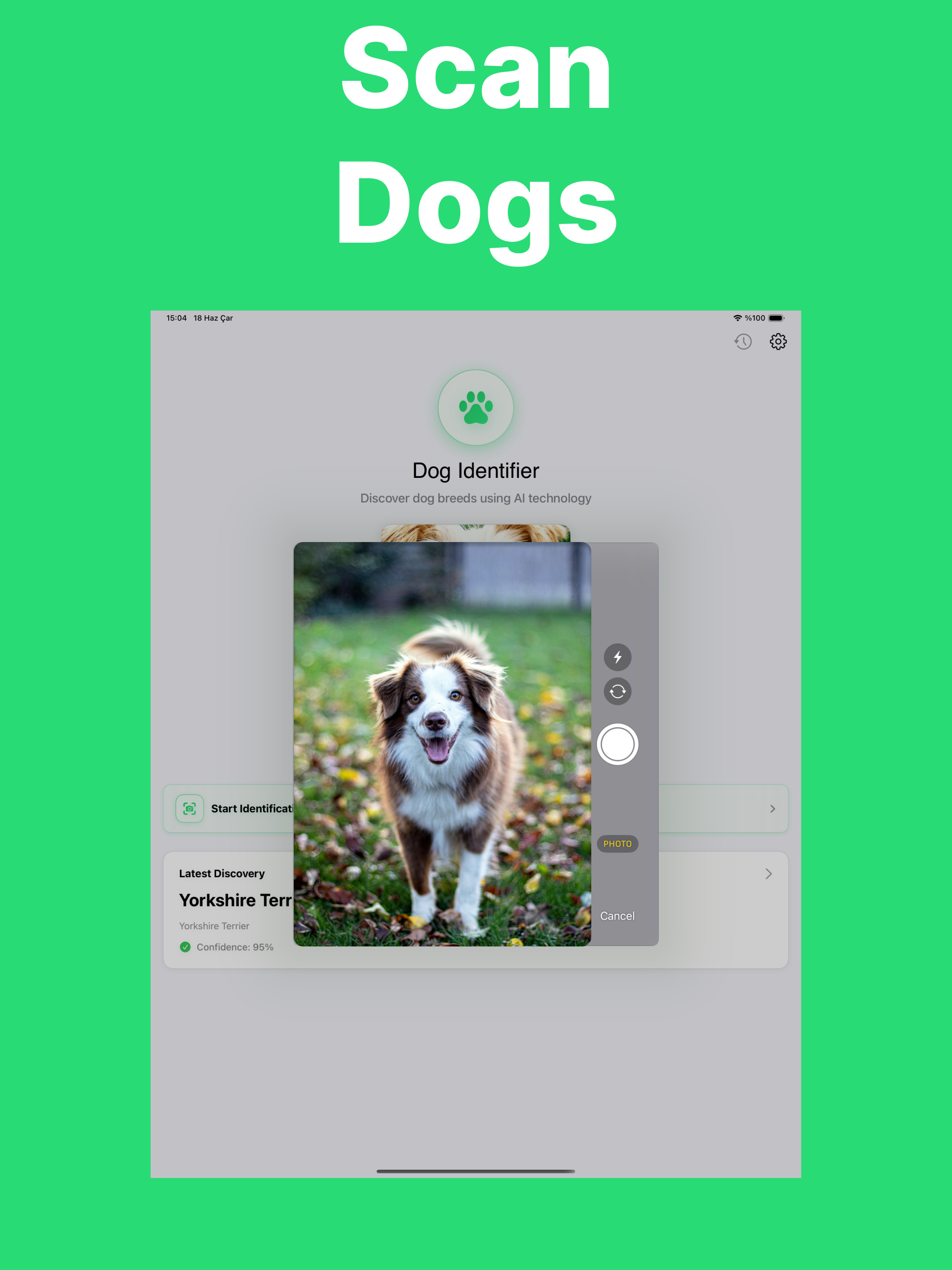 Dog Scanner: Puppy Identifier
