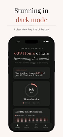 Percepta: See Time in Spending screenshot