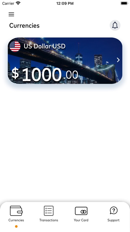 Corporate Cash Passport