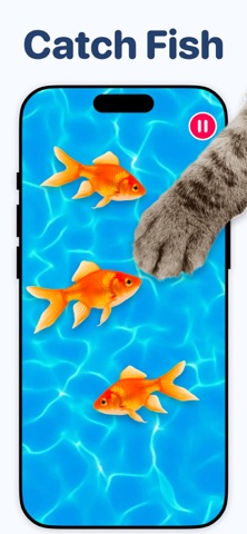 Games for Cats & Kittyㅤㅤ iPhone screenshot