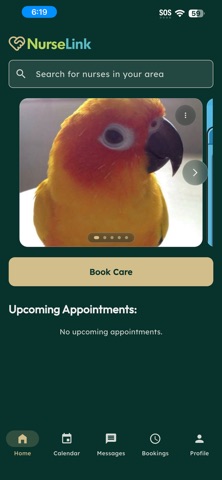 NurseLink screenshot