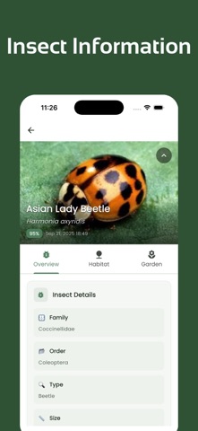 Insect Identifier - InsectsLen Screenshot 4 of 6