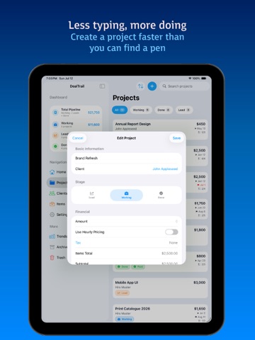 DealTrail - Project Tracker iPad screenshot