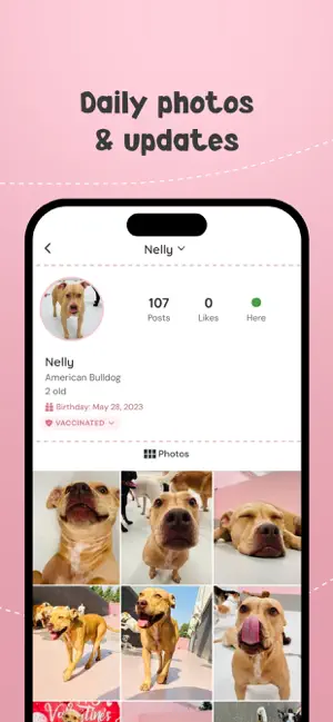 My Dogtel screenshot 4