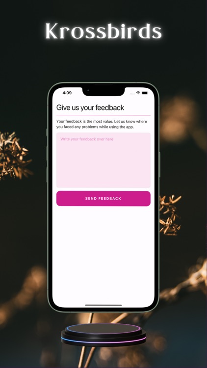 krossbirds screenshot-6