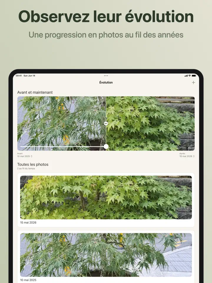Bonsaiku sur iPad : capture d’écran 6 sur 7