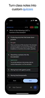 Google Gemini screenshot 8
