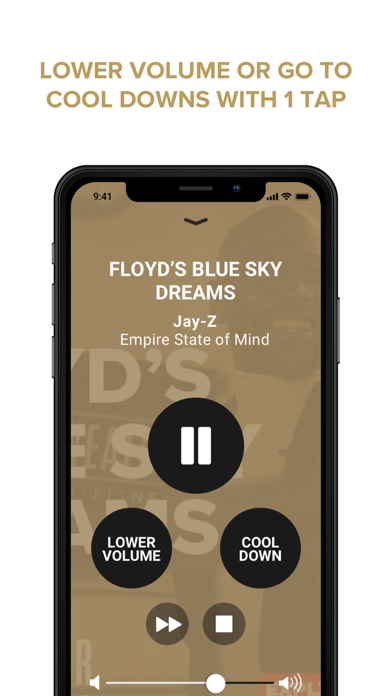 Mayweather Music Screenshot