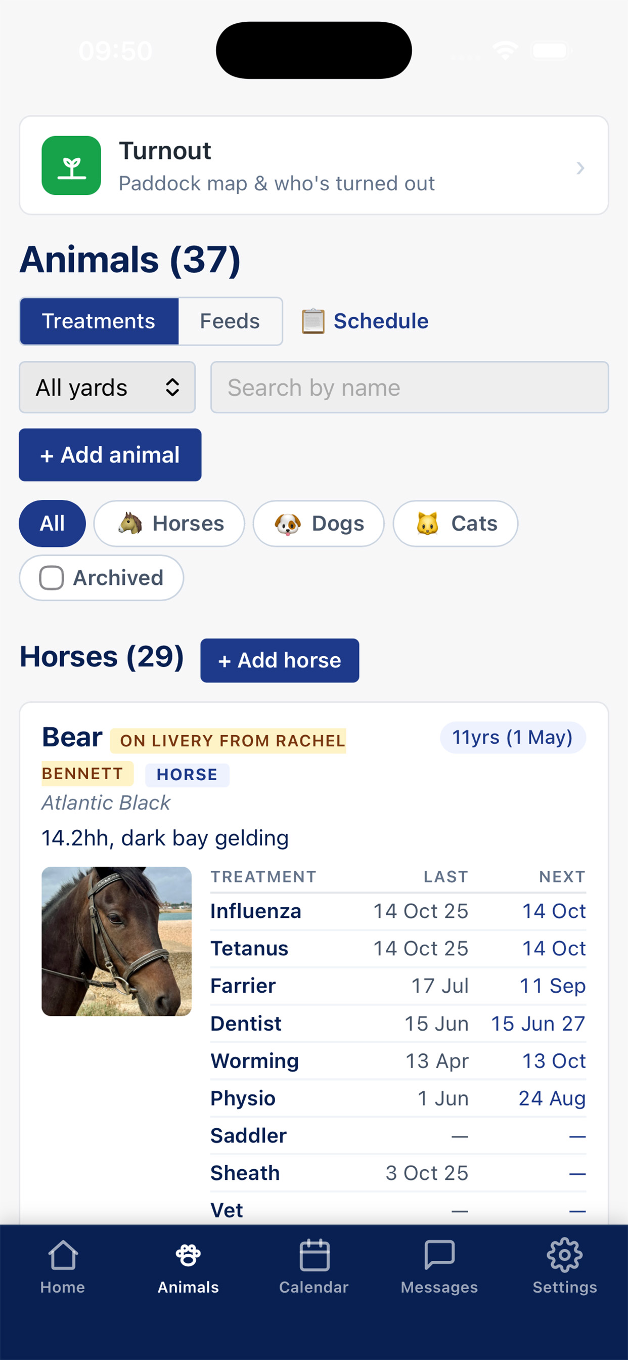 Horsepower screenshot 2
