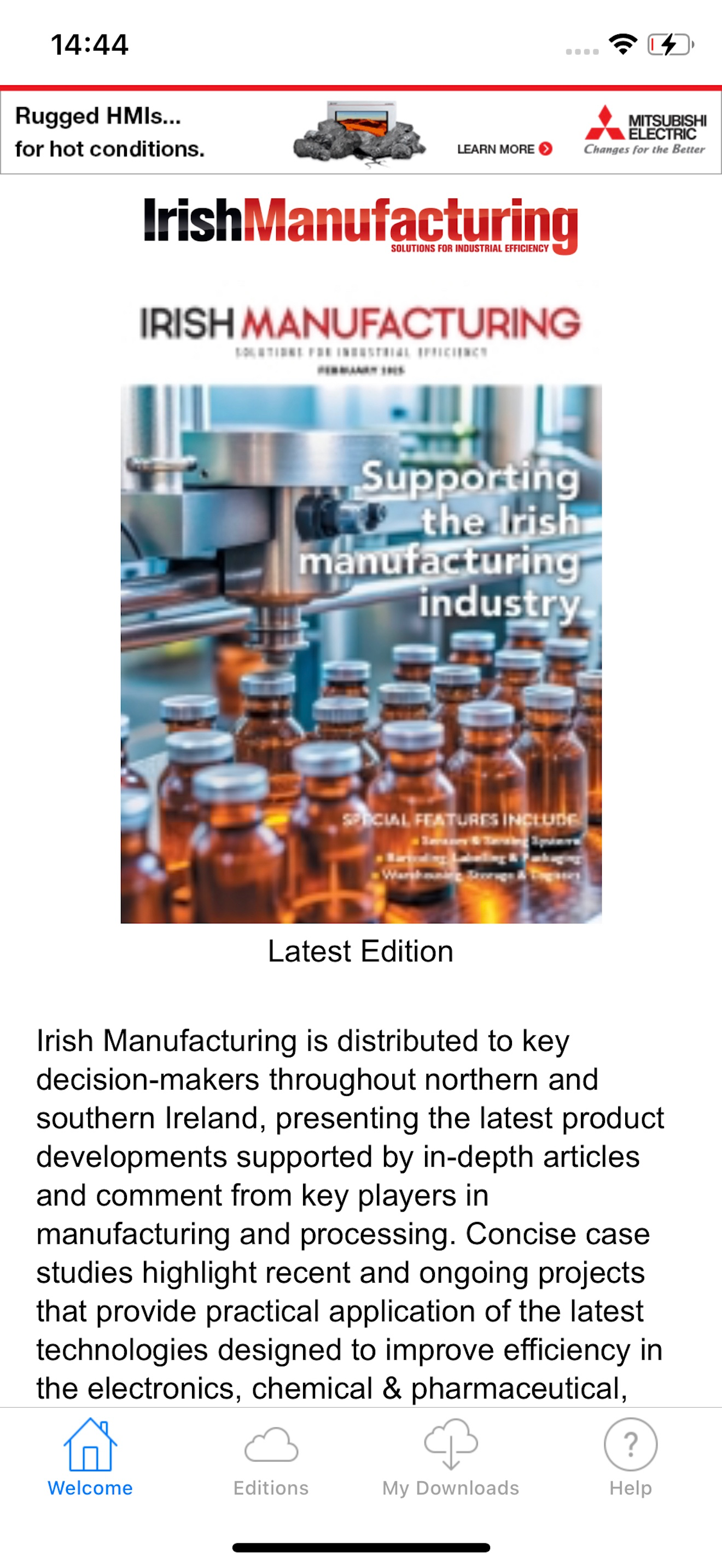 Irish Manufacturing
