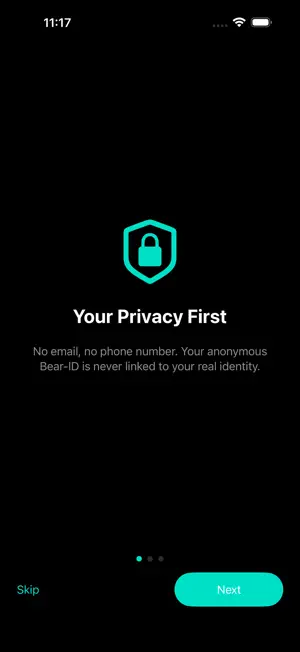 BearLine VPN screenshot 1