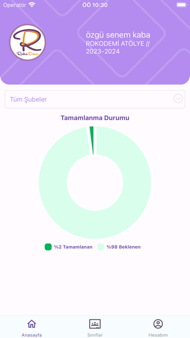 Rokodemi Screenshot