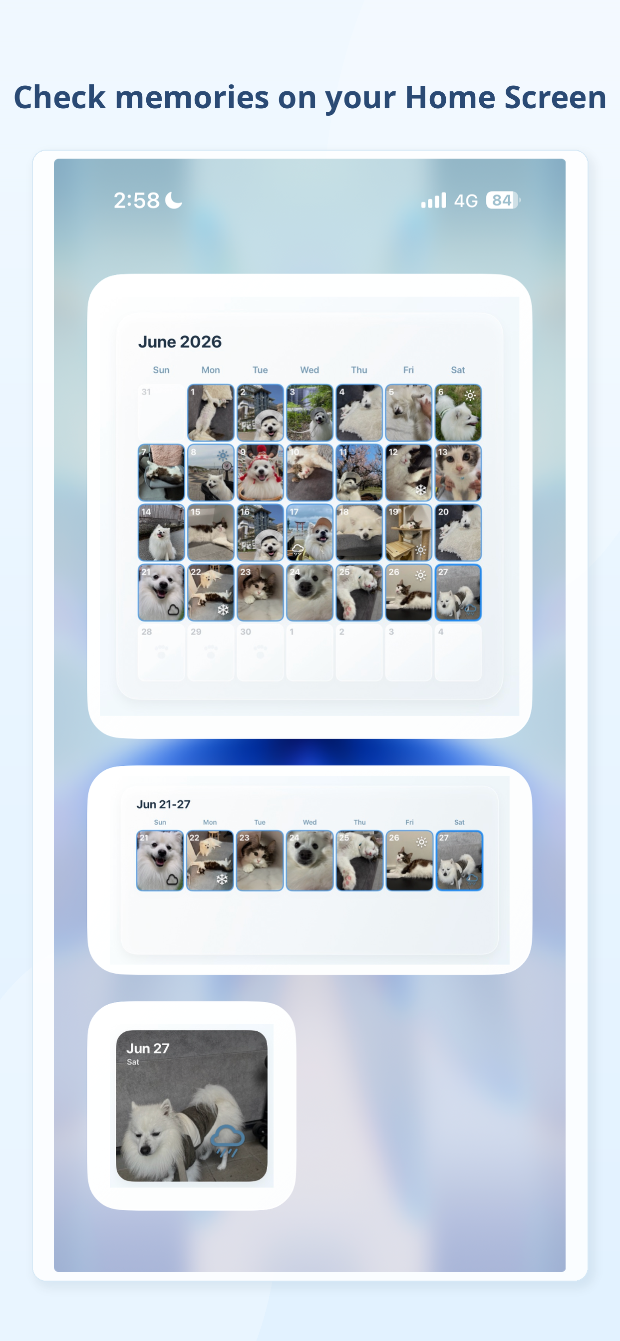 Memories Pet Life