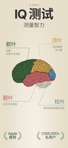 智商测试 - 思维训练 LEVO screenshot