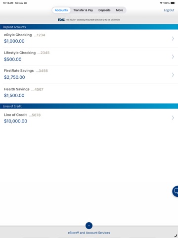 FNB Direct iPad screenshot
