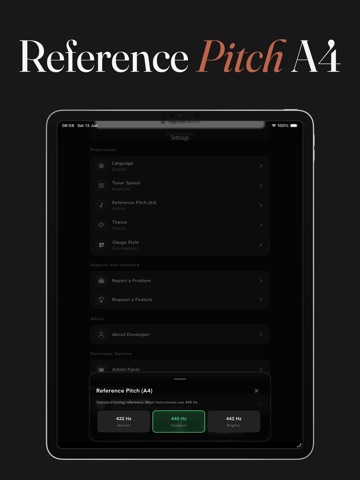 Guitar Tuner : TuneIt ipad screenshot 4