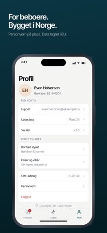 Ladelag screenshot 3