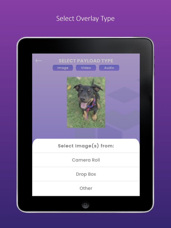 Screenshot #6 pour PublishAR - Mobile