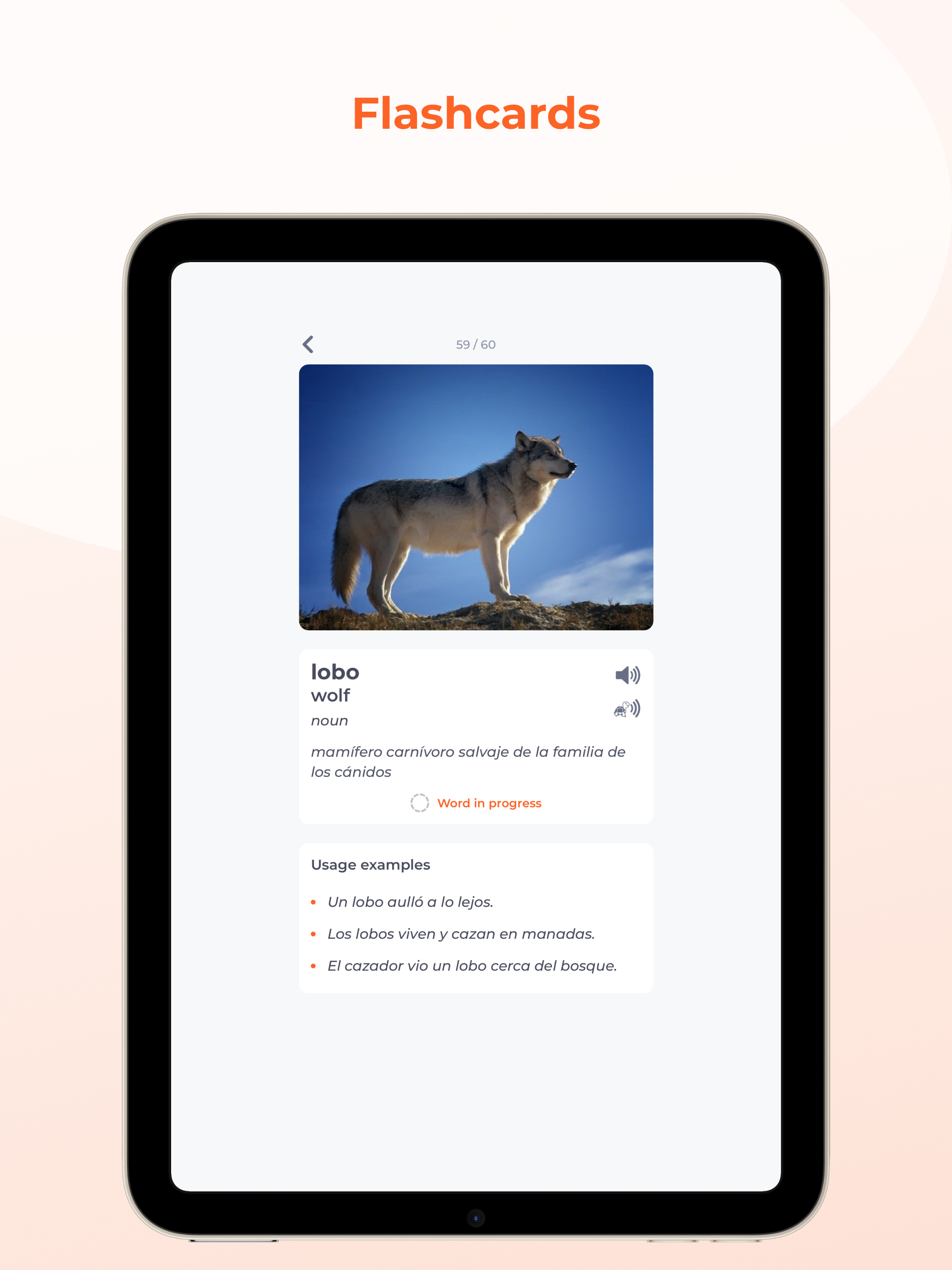 Fluent Spanish App screenshot 8