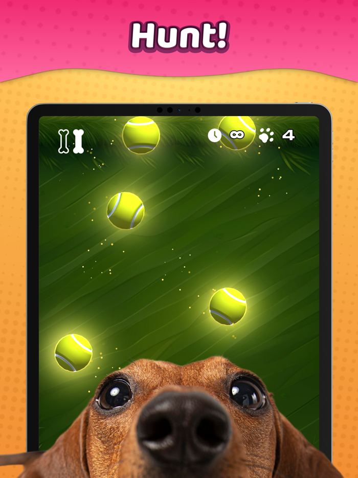 Laser Pointer － Games for Dogs