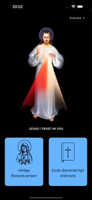 THE HOUR OF MERCY screenshot 3