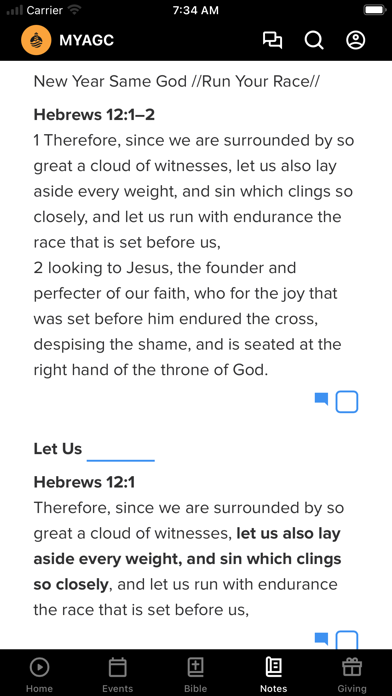 Abundant Grace Screenshot