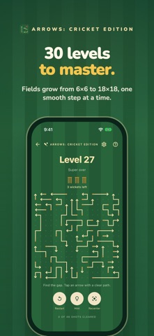 Arrows: Cricket Edition screenshot 4