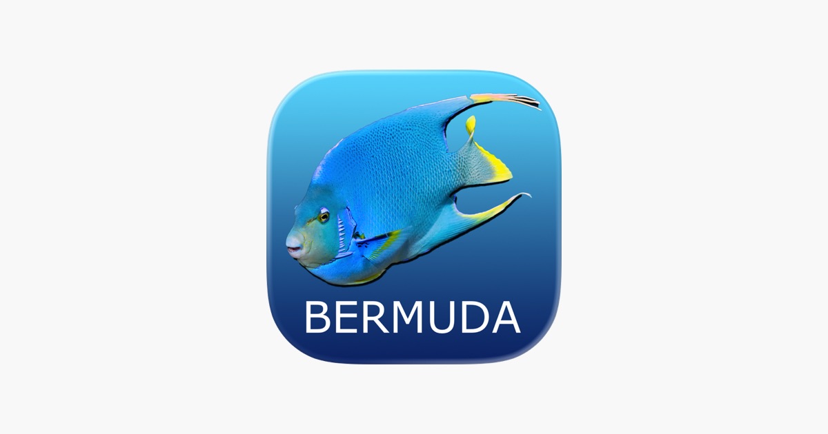 Bermuda Reef Life App - App Store
