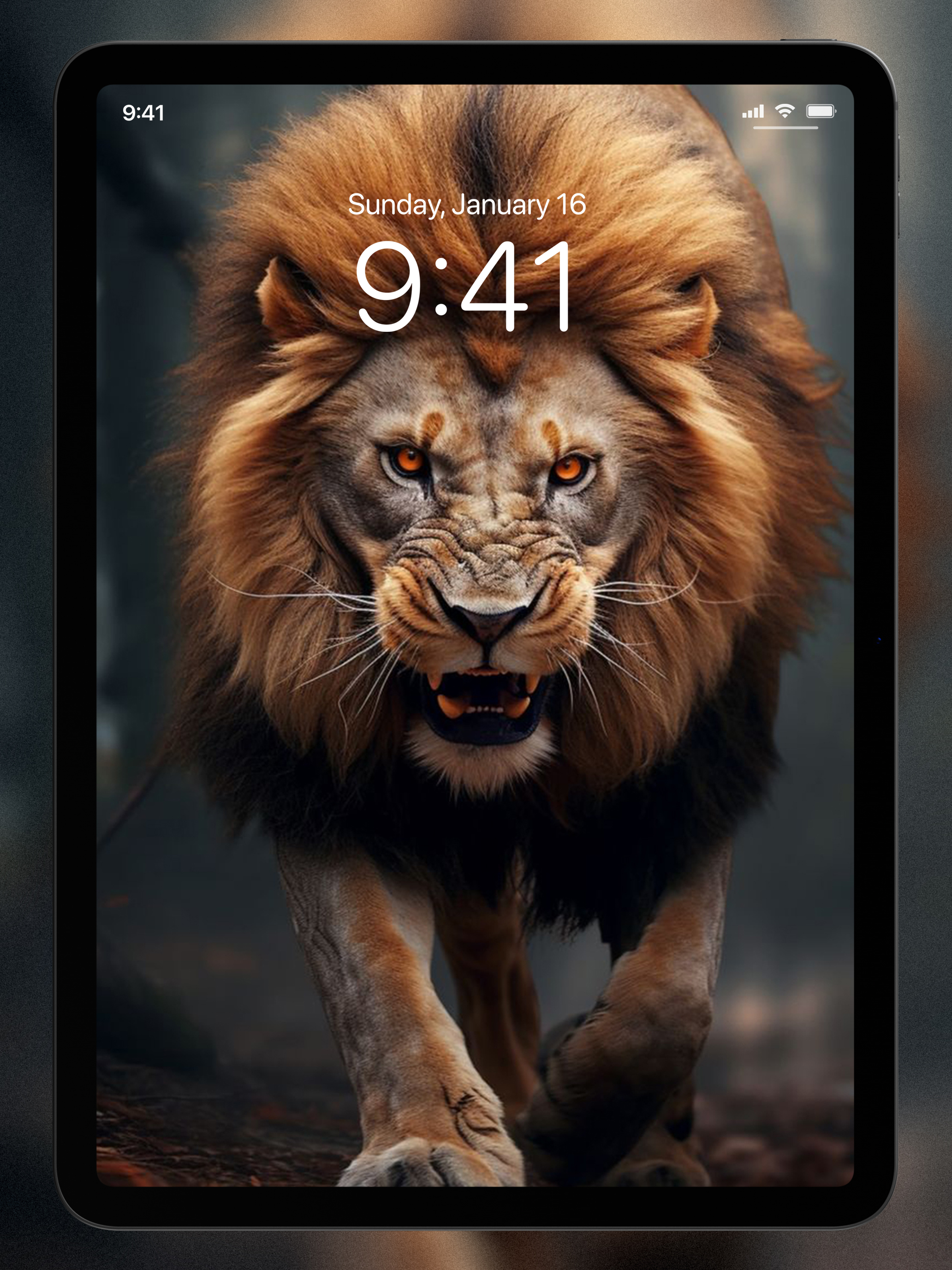 Lion Wallpapers 4K | HD screenshot 13