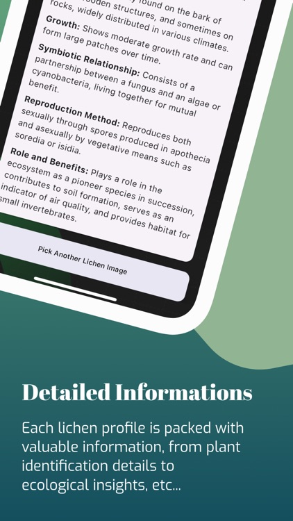 Lichen Identifier: Scan Lichen