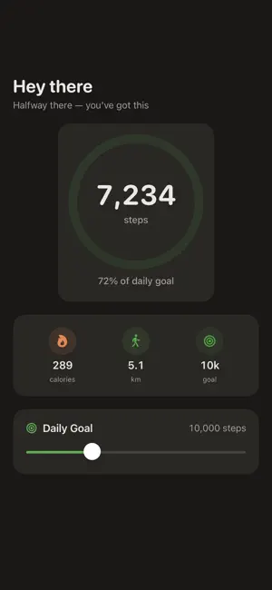 SimpleSteps Pedometer screenshot 1