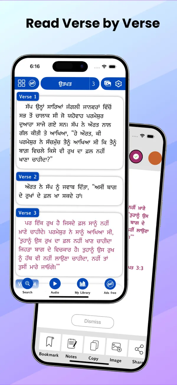 Screenshot #1 pour Punjabi Bible