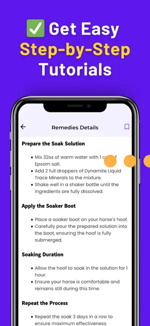 Holistic Horseworks Remedies screenshot 4