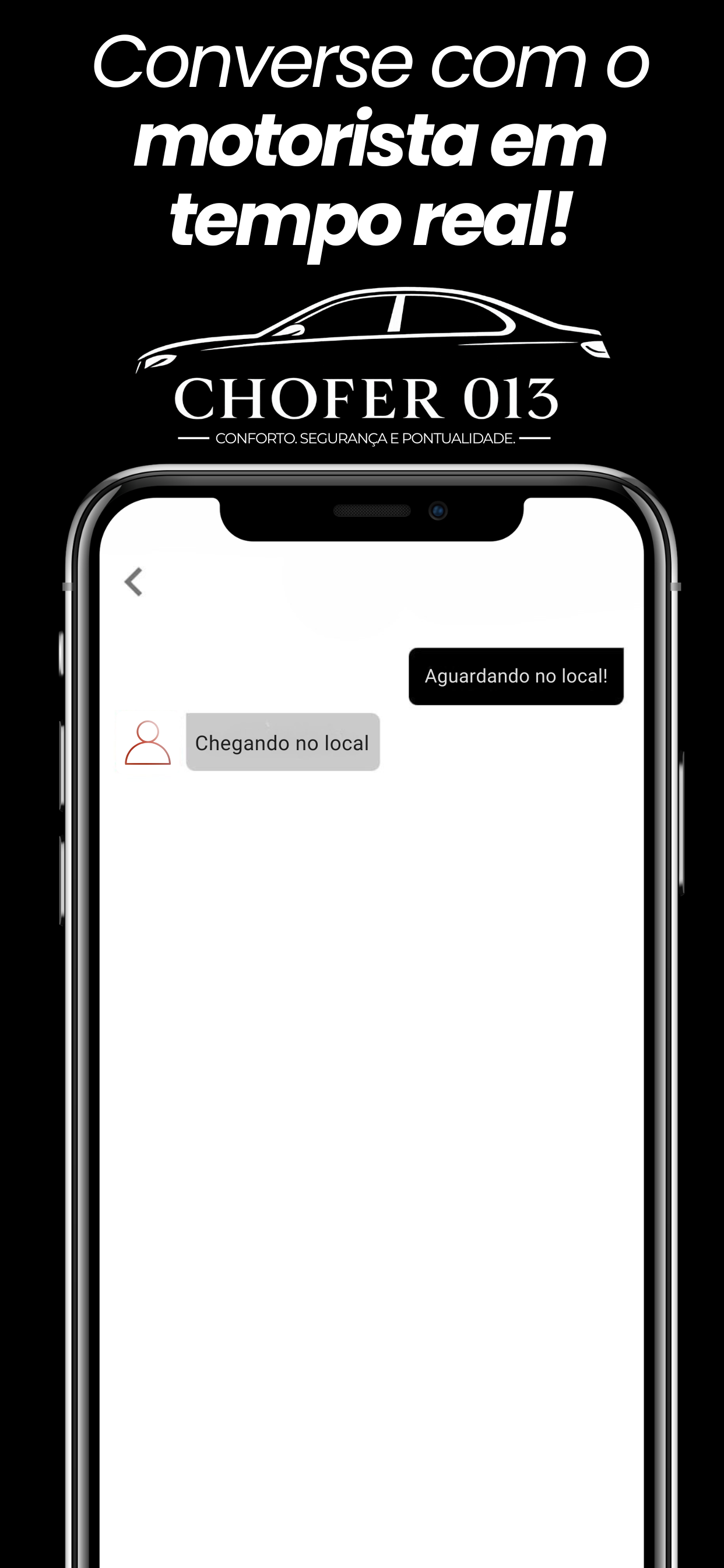 Chofer013 screenshot 5