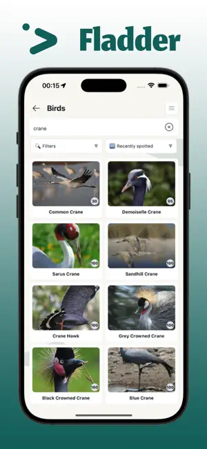 Fladder – Birding & Bird ID screenshot 4