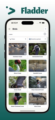 Fladder – Birding & Bird ID screenshot 4