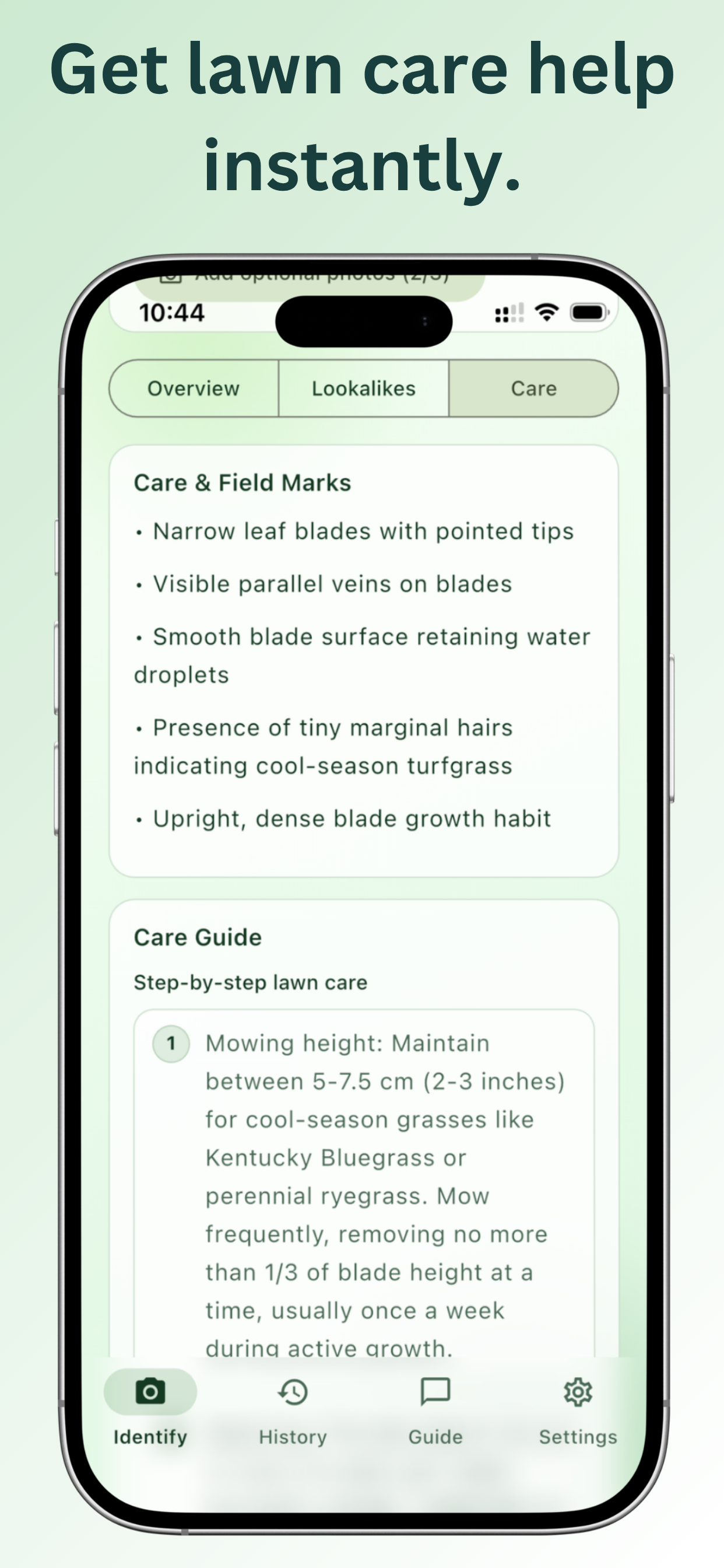 Grass Identifier - Lawn Scan screenshot 4