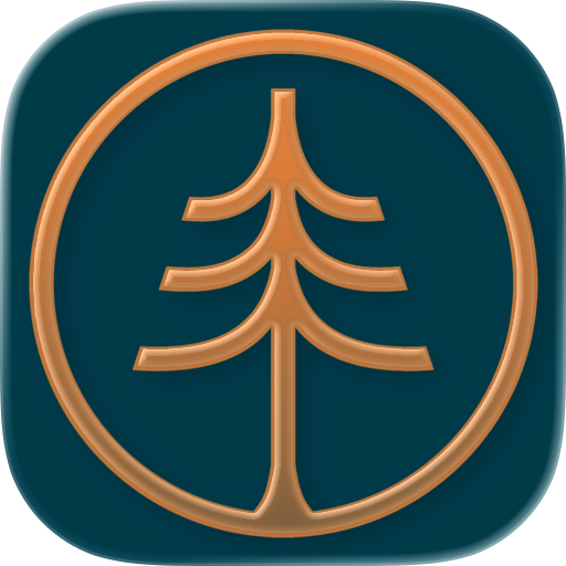 Palo Alto Fitness Club
