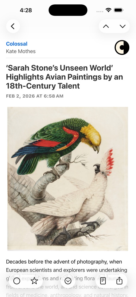 NetNewsWire: RSS Reader - Experience articles in full fidelity, showcasing the original "title" and "author" information at the top, along with intuitive action buttons for navigation or saving at the bottom.